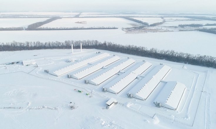 Воронежская область, Таловский район. Свиноводческий комплекс ГК "АГРОЭКО". Фото: сайт ГК "АГРОЭКО" agroeco.ru