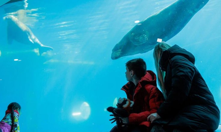 Москва. Илья из Брянска на экскурсии. Фото: М.Власенко