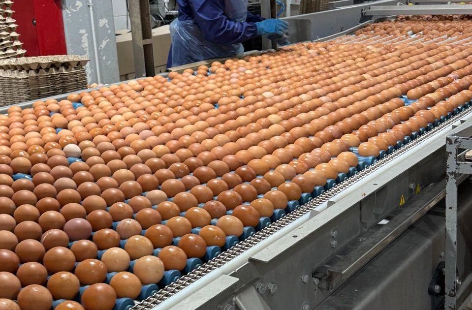 Тульская область, поселок Молодёжный, улица Карбышева, 17. Новый цех на территории птицефабрики. Фото: тг-канал губернатора Тульской области Д.Миляева