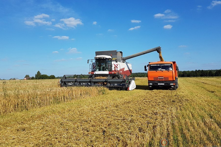 Орловские хлеборобы намолотили более 2 млн тонн зерна