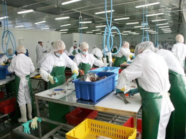 В первом полугодии в пищевой и перерабатывающей промышленности региона создано свыше 400 высокопроизводительных рабочих мест