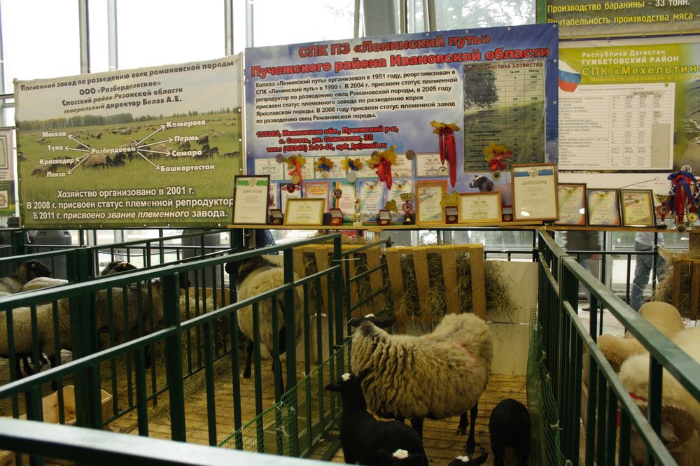 Аграрии Ивановской области отмечены медалями на крупнейшей агропромышленной выставке «Золотая осень-2014»