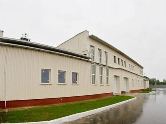 Животноводческий комплекс за 740 млн рублей построят в Костромской области