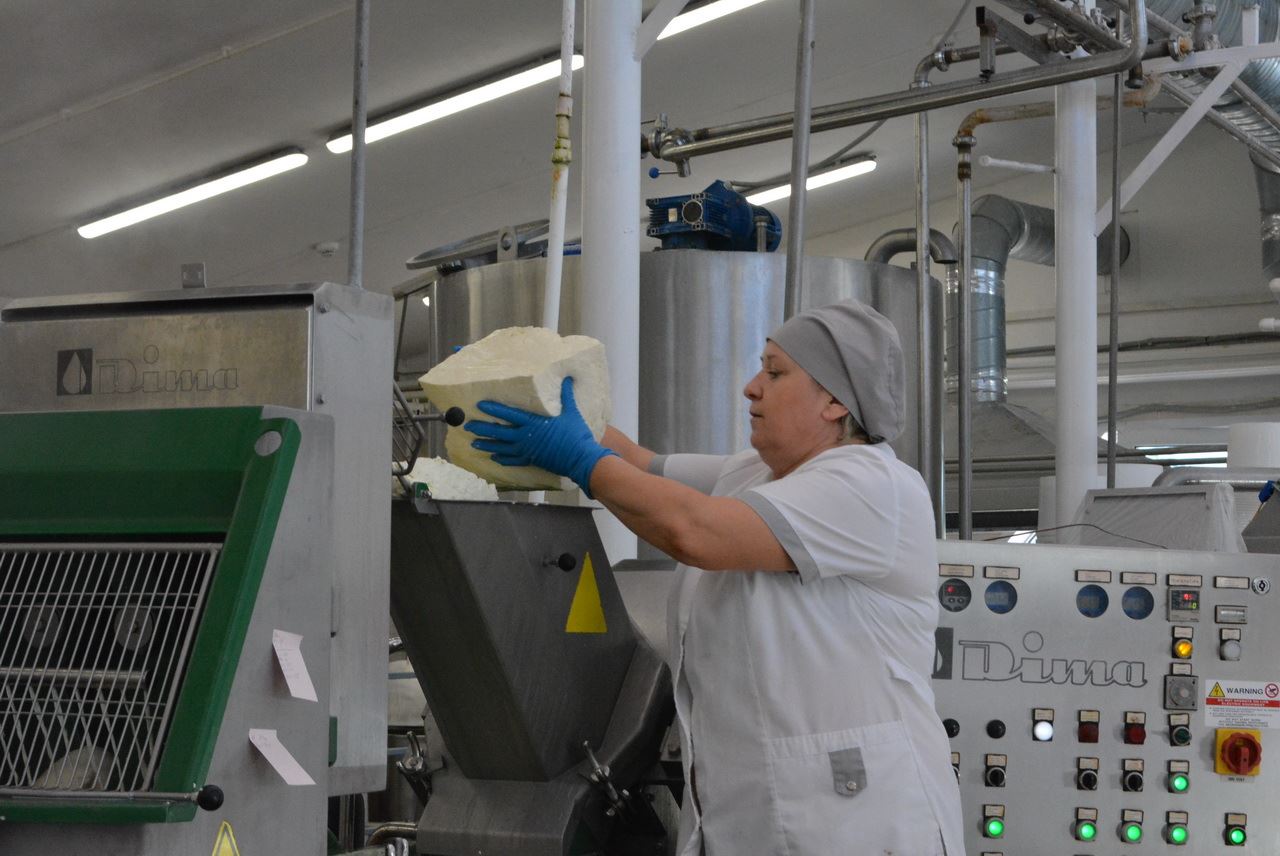 В Волгореченске в реализацию инвестроекта по производству итальянских сыров уже вложено более 117 миллионов рублей