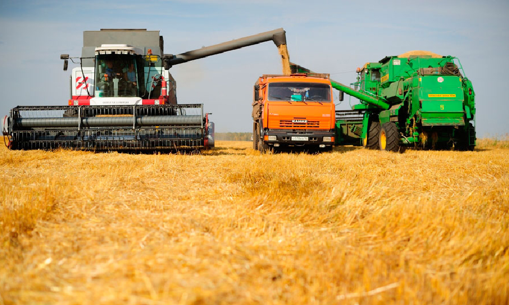 Тамбовские аграрии собрали 3 миллиона тонн зерна