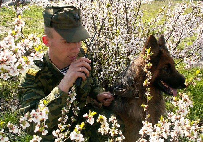 День пограничника