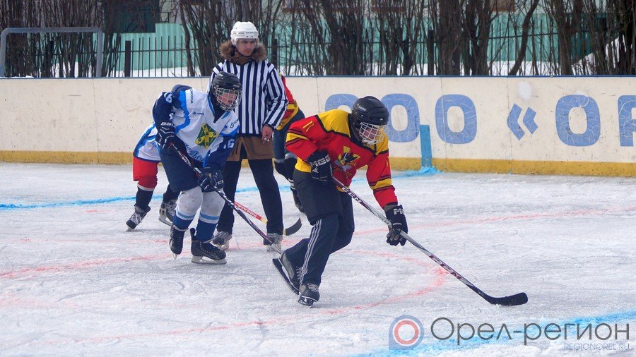 Первенство Орловской области по хоккею вызвало неподдельный интерес у жителей региона