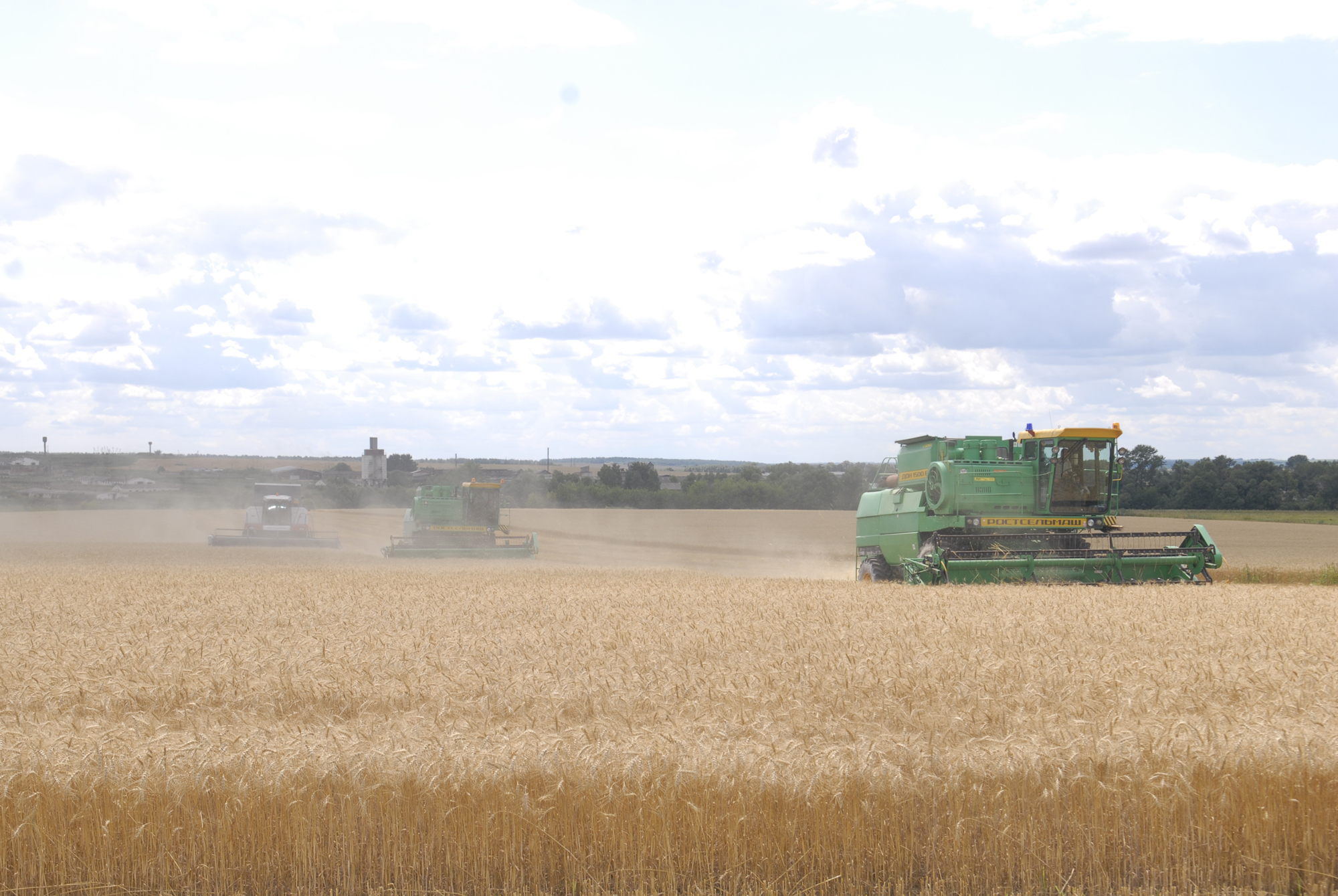 Губернатор Олег Ковалев: «И урожайность, и валовый сбор зерновых в Рязанской области – наивысшие за последние пять лет»