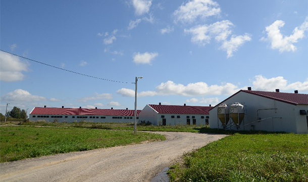 сельское поселение село