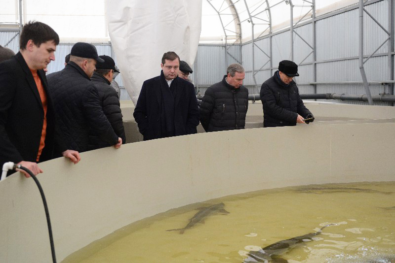 Губернатор Смоленской области Алексей Островский принял участие в открытии рыбоводного комплекса ООО «Садки»