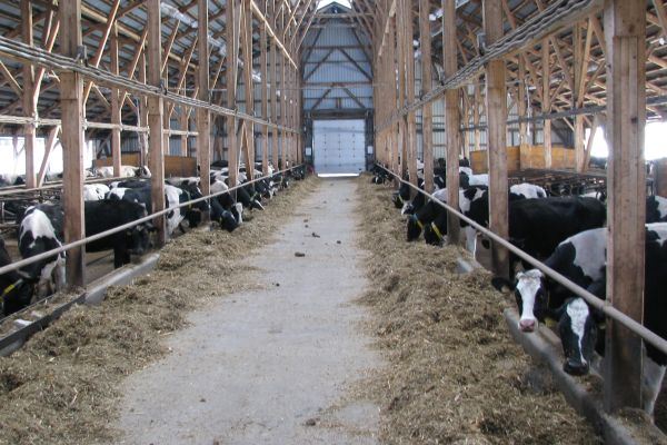 Костромская область получит федеральные субсидии на развитие фермерских хозяйств