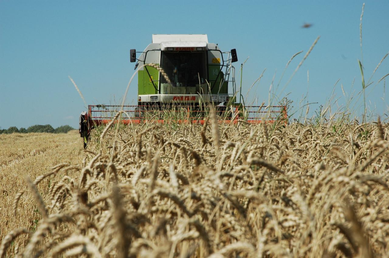 Земледельцы региона намолотили более 3 миллионов тонн зерна