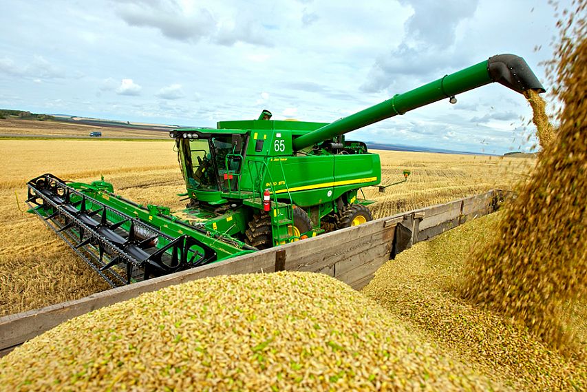 В Курской области собран первый миллион тонн зерна