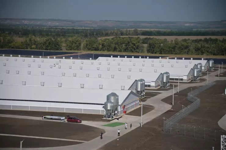 Воронежская область, Павловский район. Свиноводческий комплекс «Павловский». Фото: правительство Воронежской области govvrn.ru