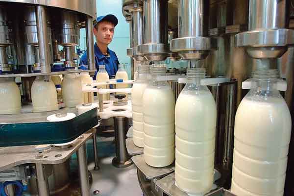 Предоставлена дополнительная поддержка региональным производителям молока