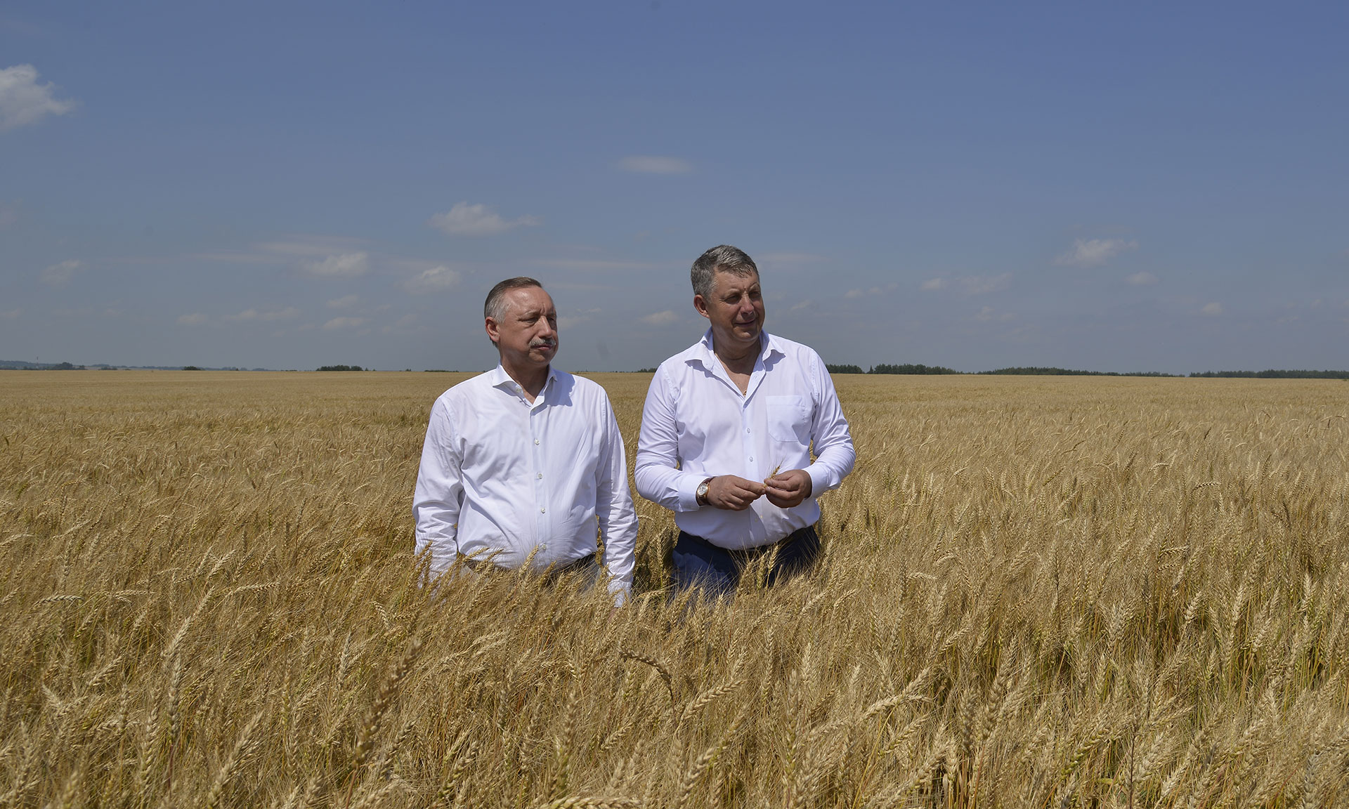 Александр Беглов поздравил брянских тружеников села с первым миллионом тонн зерна