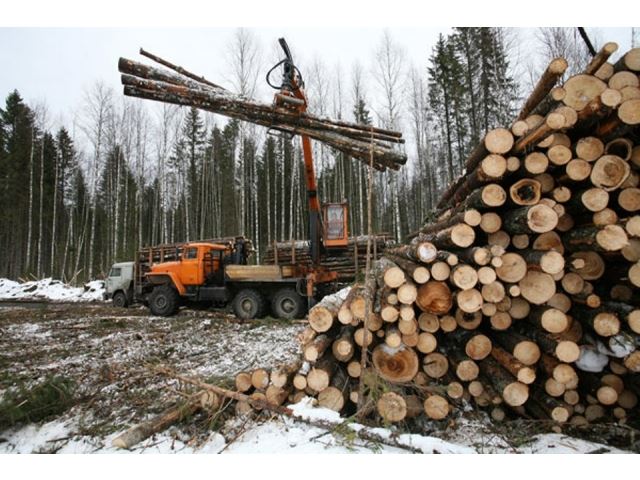 Итоги работы лесопромышленного комплекса