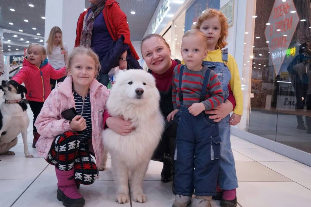 Ярославский проект «Собаки для детей» – претендент на победу во всероссийском конкурсе