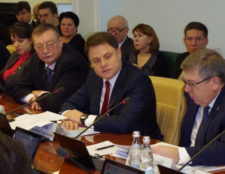 Губернатор Тульской области Владимир Груздев принял участие в заседании Комитета по социальной политике Совета Федерации ФС РФ