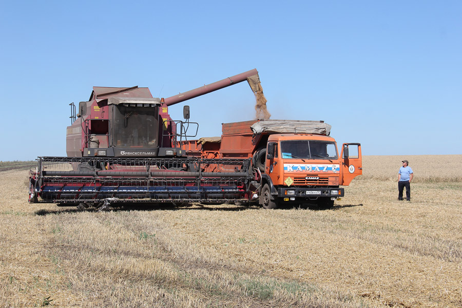 На полях Орловщины уже собрано 2 млн 980 тыс. тонн зерна