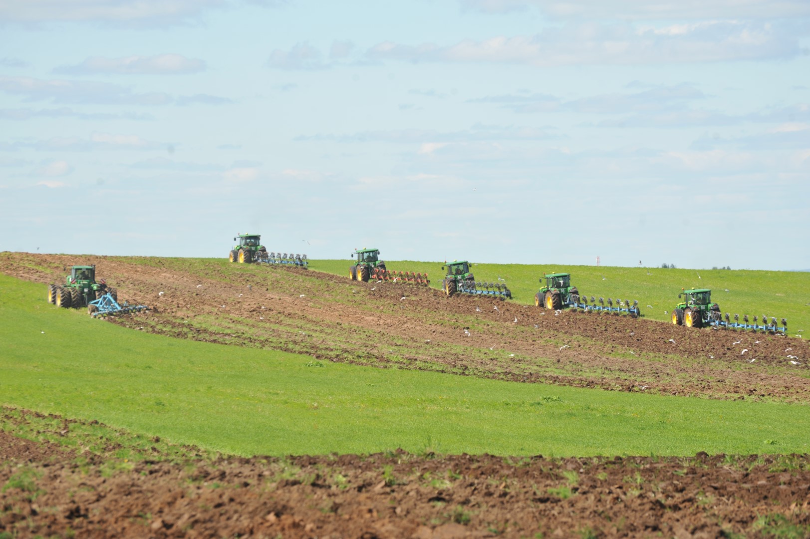 В Ярославской области вводят в оборот неиспользуемые сельхозземли